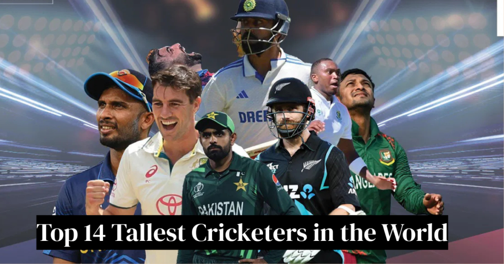 Tallest Cricketers in the World