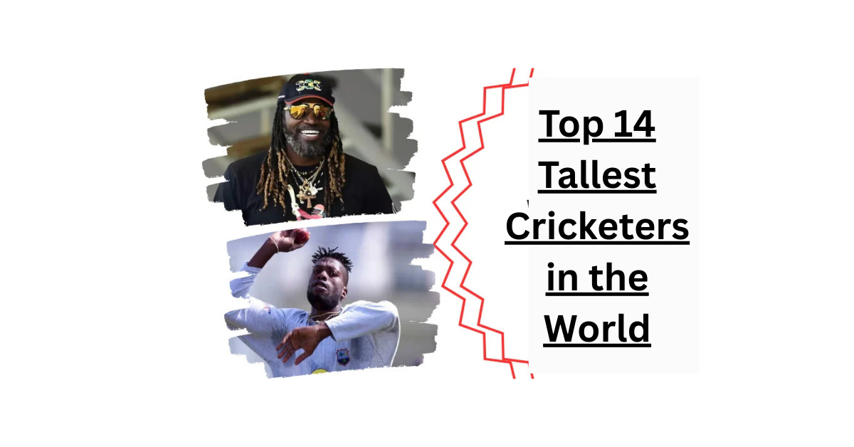 Tallest Cricketers in the World